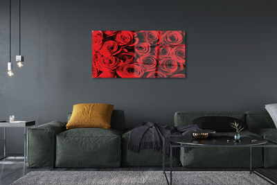 Obraz akrylowy Róże