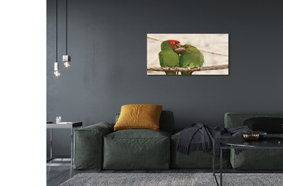 Obraz akrylowy Zielone papugi
