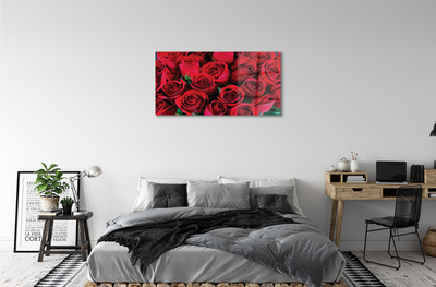 Obraz akrylowy Róże