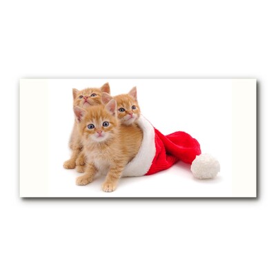 Obraz Akrylowy Koty Święta Święty mikołaj