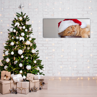 Obraz Akrylowy Kot Czapka Mikołaja Święta