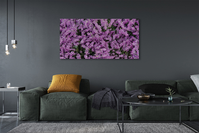 Obraz na płótnie Fioletowe kwiaty