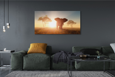 Obraz na płótnie Słoń i Drzewa o Wschodzie