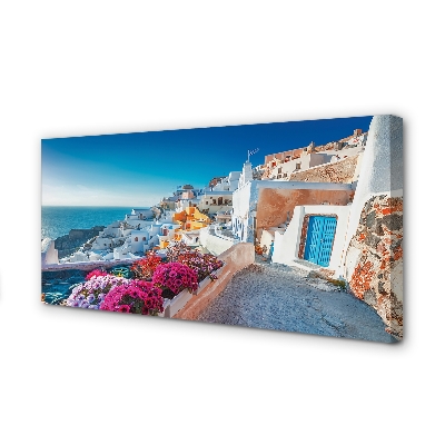 Obraz na płótnie Grecja Budynki morze kwiaty