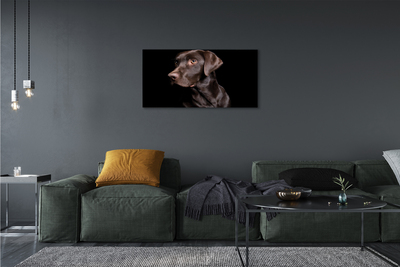Obraz na płótnie Brązowy pies