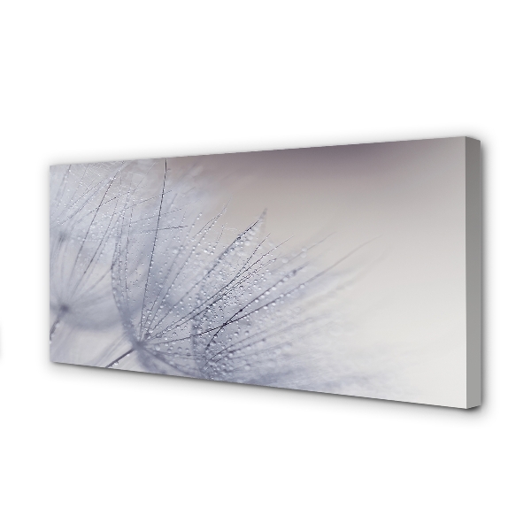 Duży obraz na płótnie Dmuchawce w Porannej Rosie