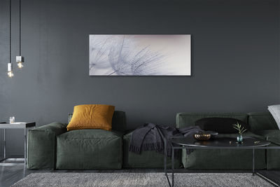 Duży obraz na płótnie Dmuchawce w Porannej Rosie