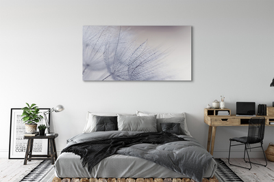 Duży obraz na płótnie Dmuchawce w Porannej Rosie