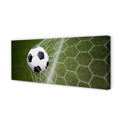 Obraz na płótnie Klasyczna Piłka Na Trawie