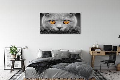 Obraz na płótnie Szary kot brytyjski