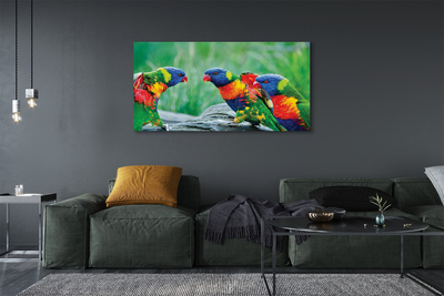 Obraz na płótnie Kolorowe Papugi na Drzewie