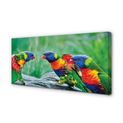 Obraz na płótnie Kolorowe papugi drzewo