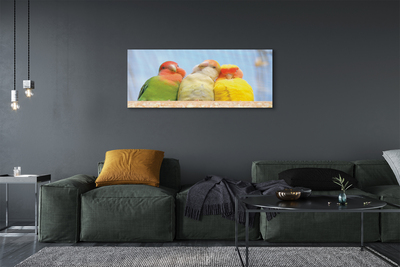 Obraz na płótnie Kolorowe papugi