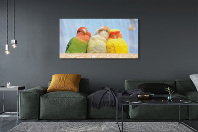 Zdjęcie na płótnie Egzotyczne Kolorowe Papugi