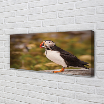 Zdjęcie na płótnie Portret Papugi