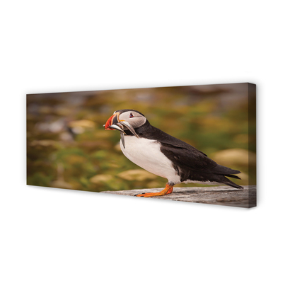 Zdjęcie na płótnie Portret Papugi