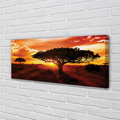 Obraz na płótnie Drzewa i Chmury o Zachodzie
