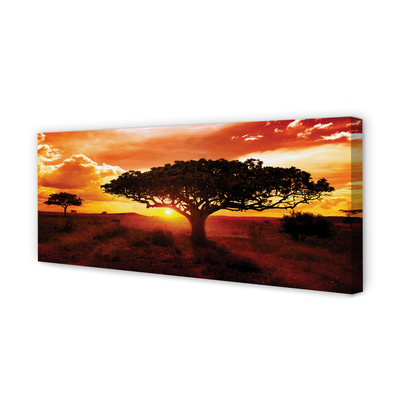 Obraz na płótnie Drzewa i Chmury o Zachodzie