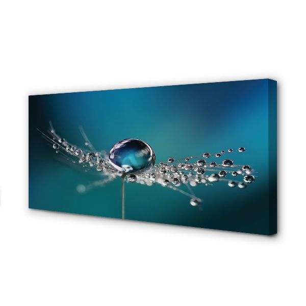 Obraz canvas na ścianę Makro Dmuchawca z Rosą