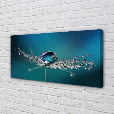 Obraz canvas na ścianę Makro Dmuchawca z Rosą