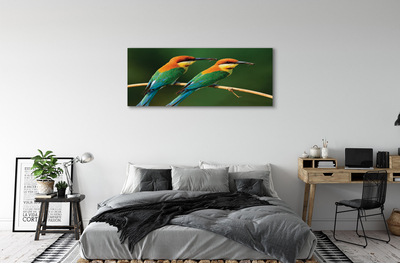 Obraz na płótnie Kolorowe papugi na gałęzi