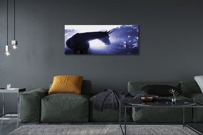 Obraz drukowany na płótnie Las i Jednorożec