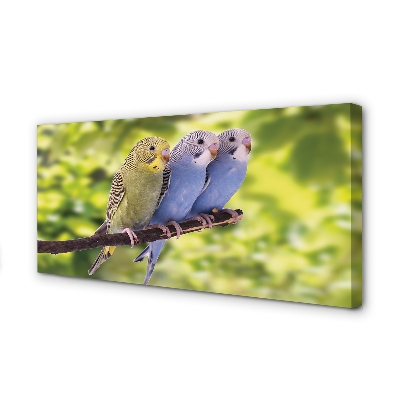 Zdjęcie na płótnie Papugi na Tropikalnej Gałęzi