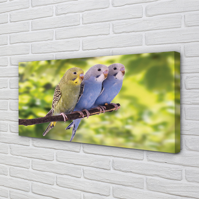 Zdjęcie na płótnie Papugi na Tropikalnej Gałęzi