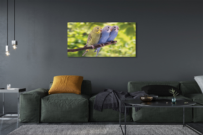 Zdjęcie na płótnie Papugi na Tropikalnej Gałęzi