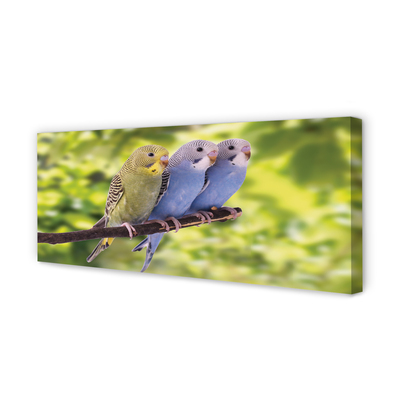 Zdjęcie na płótnie Papugi na Tropikalnej Gałęzi