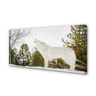Obraz drukowany na płótnie Wilk w Zimowym Lesie