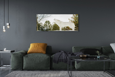 Obraz drukowany na płótnie Wilk w Zimowym Lesie