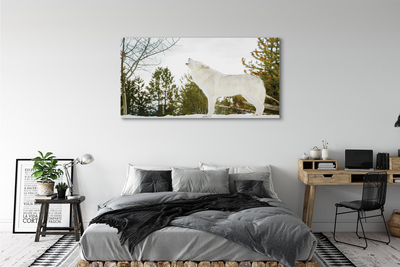 Obraz drukowany na płótnie Wilk w Zimowym Lesie