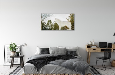 Obraz na płótnie Wilk zima las