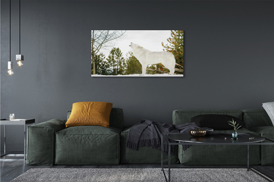 Obraz drukowany na płótnie Wilk w Zimowym Lesie