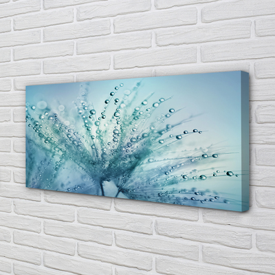 Obraz canvas na ścianę Ulotne Krople na Dmuchawcu