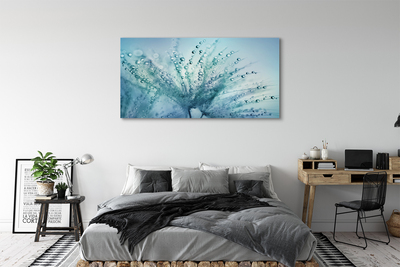 Obraz canvas na ścianę Ulotne Krople na Dmuchawcu