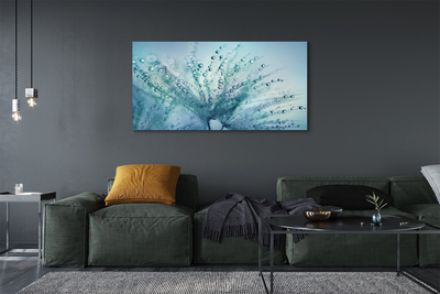 Obraz canvas na ścianę Ulotne Krople na Dmuchawcu