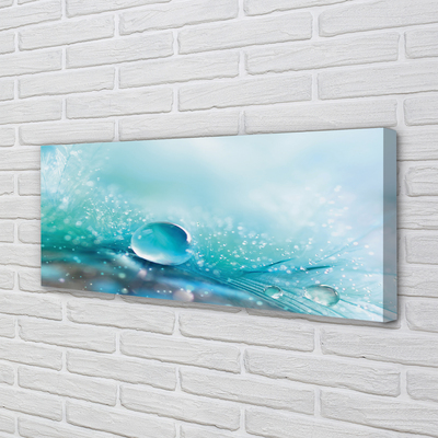 Obraz drukowany na płótnie Abstrakcyjna Kropla Makro