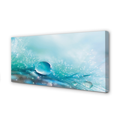 Obraz drukowany na płótnie Abstrakcyjna Kropla Makro