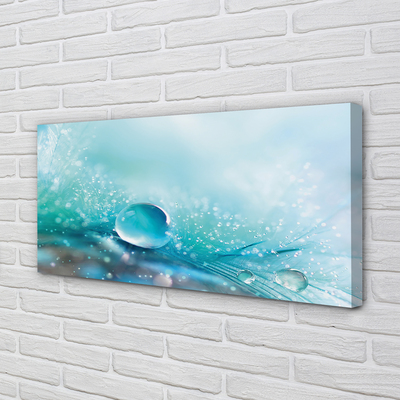 Obraz drukowany na płótnie Abstrakcyjna Kropla Makro