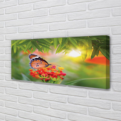 Obraz na płótnie Kolorowy motyl kwiaty