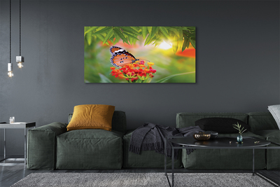 Obraz na płótnie Kolorowy motyl kwiaty