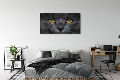 Obraz na płótnie Czarny kot