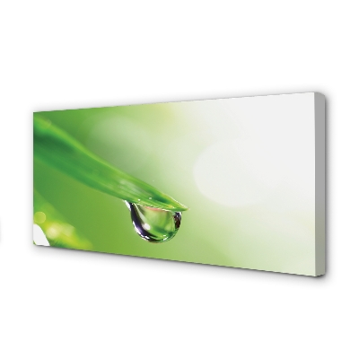 Obraz drukowany na płótnie Słoneczna Kropla na Liściu