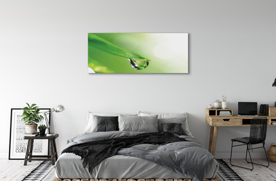 Obraz drukowany na płótnie Słoneczna Kropla na Liściu