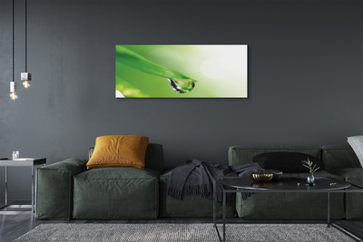 Obraz drukowany na płótnie Słoneczna Kropla na Liściu