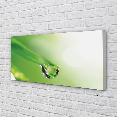 Obraz drukowany na płótnie Słoneczna Kropla na Liściu