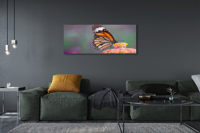 Duży obraz na płótnie Motyl na Kwiecie