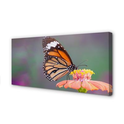 Duży obraz na płótnie Motyl na Kwiecie